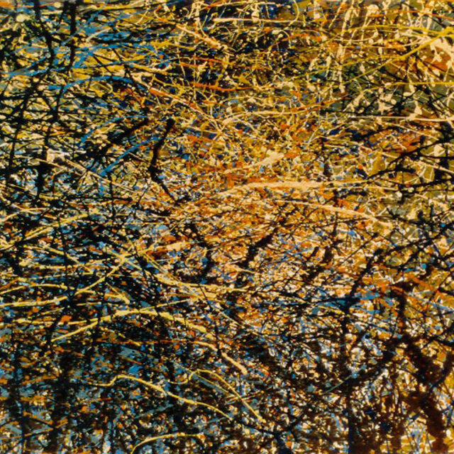 Water Reflections Star Swamp oil on canvas : sold